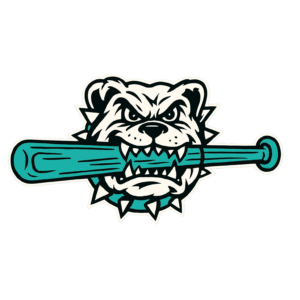 Seattle Dirt Dogs Logo